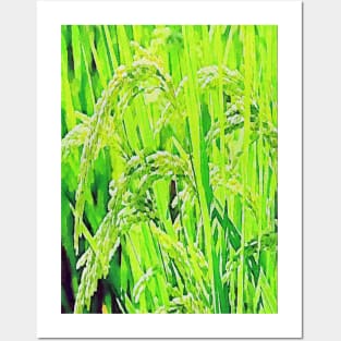 rice plant Posters and Art